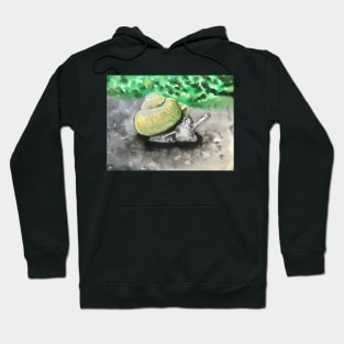 Snail Hoodie